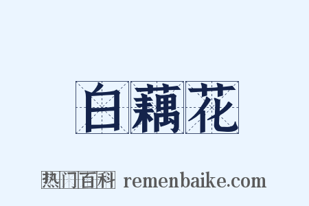 白藕花是什么意思的图片